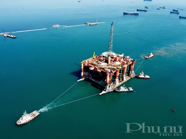 Đại H&ugrave;ng 01 l&agrave; gi&agrave;n nửa nổi nửa ch&igrave;m duy nhất ở Việt Nam hiện nay.