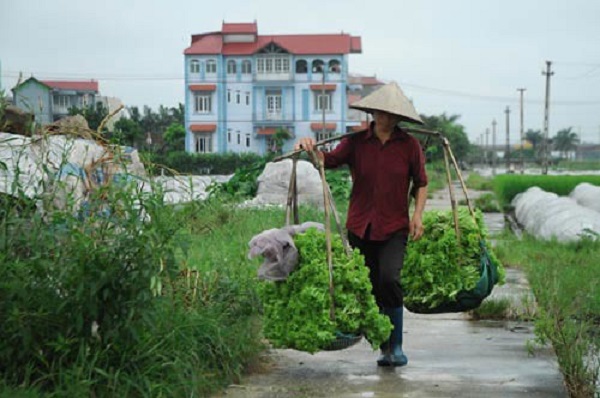 Tháng Tết của mẹ - ảnh 1