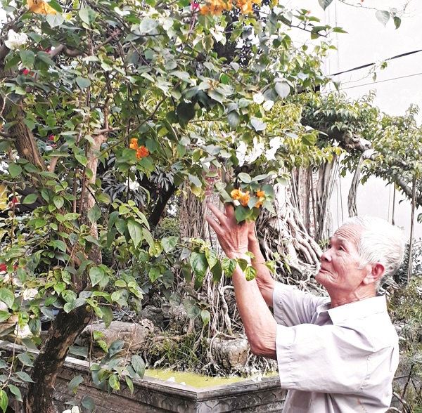 Hoa giấy nghệ thuật ở Phù Đổng - ảnh 1