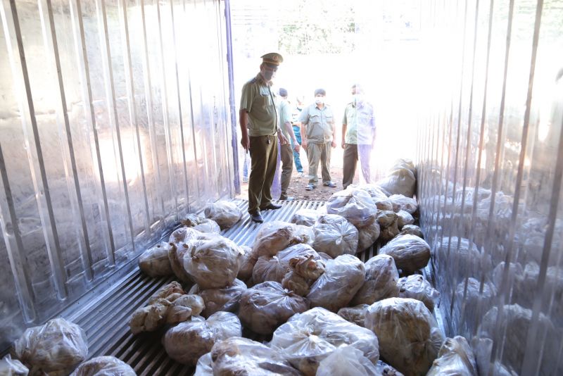 Phát hiện và xử lý xe chở thịt gà bốc mùi