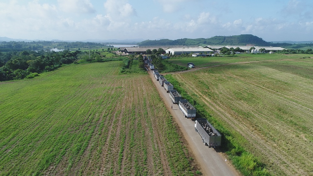 Vững đà tăng trưởng, TH true MILK đón đàn bò sữa cao sản nhập khẩu đầu tiên trong năm 2021 - ảnh 5