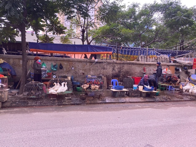 Gia cầm được b&agrave;y b&aacute;n, giết mổ tr&ecirc;n vỉa h&egrave;