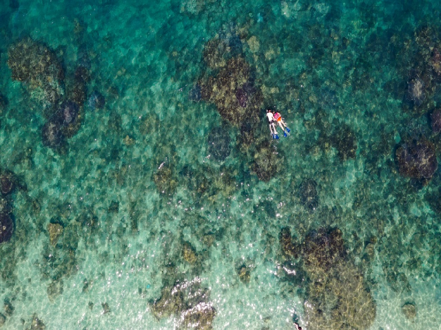 Khu dự trữ sinh quyển thế giới Cù Lao Chàm (Quảng Nam) được giới thiệu trong dự án “Google Arts and Culture - Kỳ quan Việt Nam”. Ảnh: vietnamtourism.gov.vn.