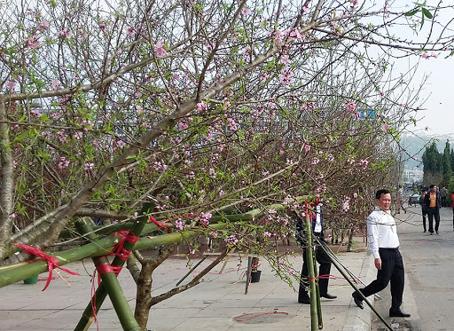 Ảnh minh  họa Ảnh minh  họa