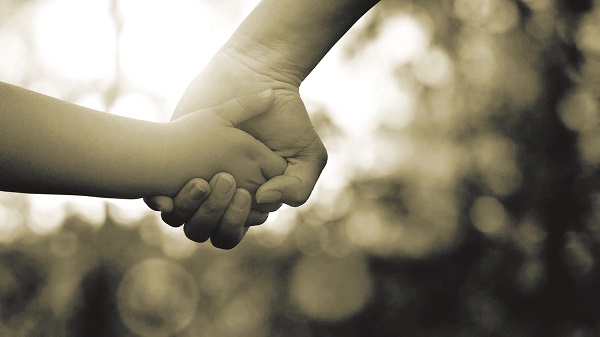 Bàn tay của cha - ảnh 1