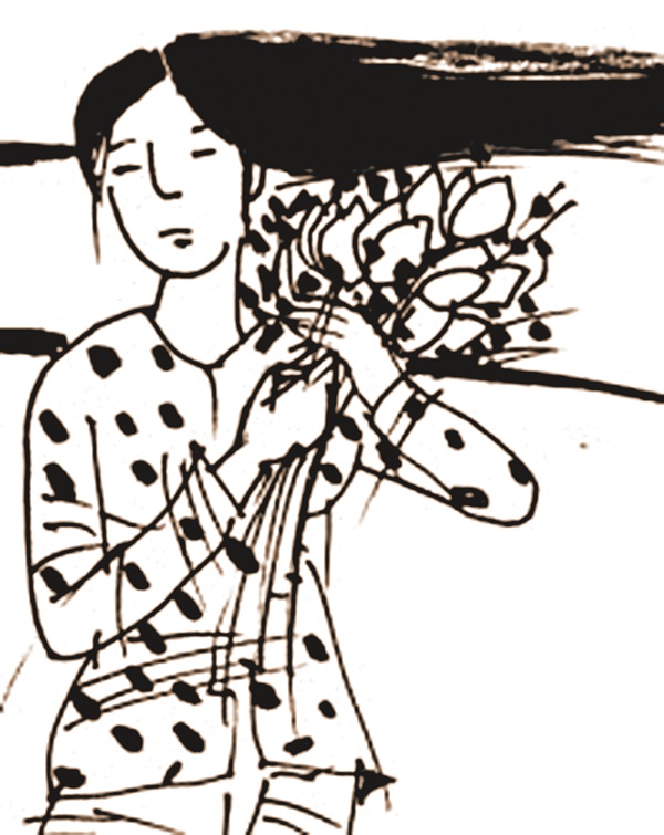 Minh họa sưu tầm