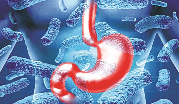 Nhiễm vi khuẩn HP có cần quá lo lắng? - ảnh 2