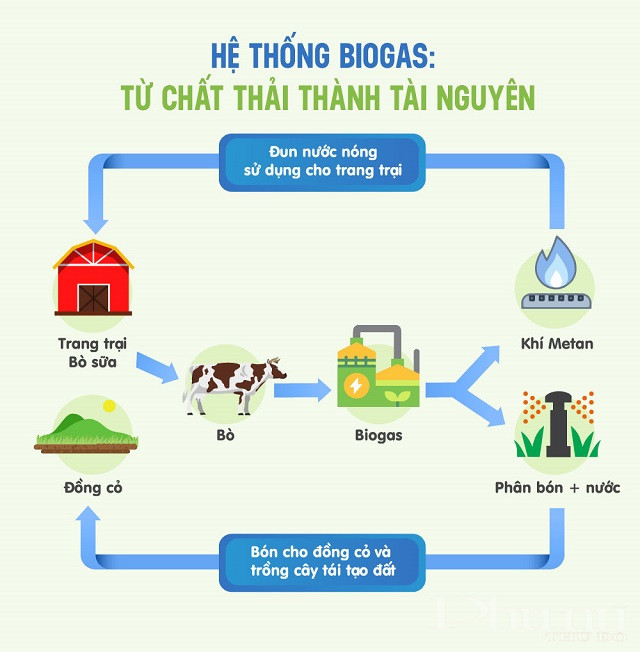 M&ocirc; h&igrave;nh &ldquo;kinh tế tuần ho&agrave;n&rdquo; ứng dụng trong hệ thống Biogas v&agrave; v&ograve;ng tr&ograve;n quản l&yacute; nguồn đất bền vững tại c&aacute;c trang trại b&ograve; sữa Vinamilk.