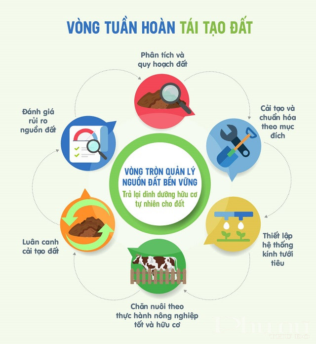 M&ocirc; h&igrave;nh &ldquo;kinh tế tuần ho&agrave;n&rdquo; ứng dụng trong hệ thống Biogas v&agrave; v&ograve;ng tr&ograve;n quản l&yacute; nguồn đất bền vững tại c&aacute;c trang trại b&ograve; sữa Vinamilk.