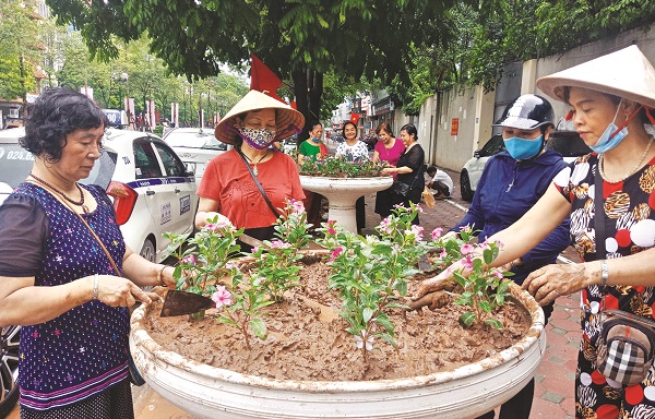 Phụ nữ phường T&acirc;n Mai, quận Ho&agrave;ng Mai trồng hoa tạo cảnh quan đường phố xanh, sạch đẹp