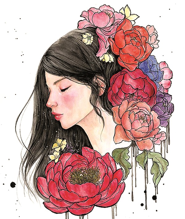 Minh họa sưu tầm