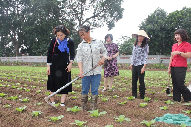 Đo&agrave;n c&ocirc;ng t&aacute;c của B&aacute;o PNTĐ, Hội LHPN huyện Gia L&acirc;m thăm c&aacute;nh đồng trồng rau của gia đ&igrave;nh chị Chử Thị &Aacute;nh, x&atilde; Văn Đức