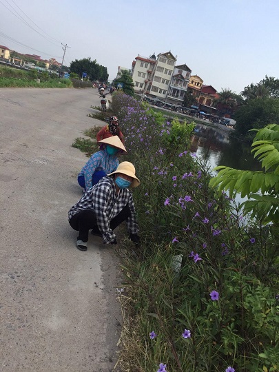 C&aacute;c chị em phụ nữ chăm s&oacute;c tuyến đường nở hoa.