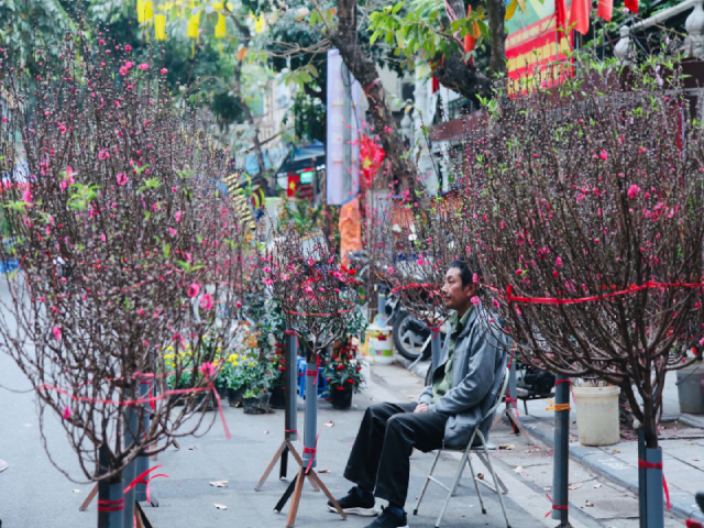 Tuy nhi&ecirc;n, theo ghi nhận của ph&oacute;ng vi&ecirc;n, chợ hoa Tết nổi tiếng v&agrave; l&acirc;u đời của H&agrave; Nội vắng vẻ, thưa thớt kh&aacute;ch hơn mọi năm.