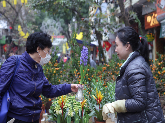 Người b&aacute;n h&agrave;ng tại đ&acirc;y cho biết, năm nay nh&igrave;n chung mọi thứ đều chậm hơn so với mọi năm. Hầu hết c&aacute;c c&acirc;y đ&agrave;o cũng đều phải hạ gi&aacute; xuống thấp hơn.