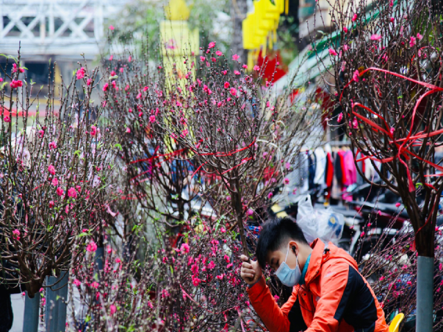 Chợ hoa Tết những ngày chống dịch - ảnh 6