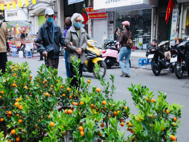 Tết đ&atilde; đến rất gần, mọi người đều mong sớm kiểm so&aacute;t được dịch bệnh để người d&acirc;n y&ecirc;n t&acirc;m mua sắm, sửa soạn c&acirc;y, hoa đ&oacute;n Tết.