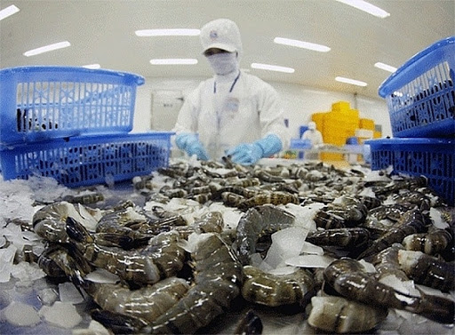 Đầu năm 2021 xuất khẩu sang Úc tăng hơn 62% - ảnh 1
