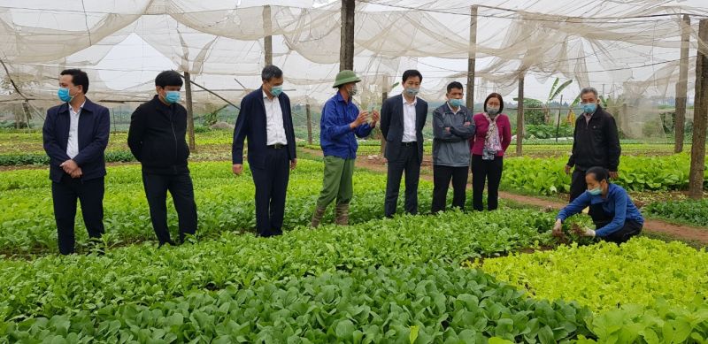 B&iacute; thư huyện ủy Ho&agrave;i Đức Nguyễn Xu&acirc;n Đại c&ugrave;ng Ph&oacute; Chủ tịch UBND huyện Nguyễn Trung Thuận v&agrave; c&aacute;c l&atilde;nh đạo ph&ograve;ng kinh tế, l&atilde;nh đạo x&atilde; đến thăm n&ocirc;ng d&acirc;n trồng rau an to&agrave;n ở th&ocirc;n Tiền Lệ, x&atilde; Tiền Y&ecirc;n