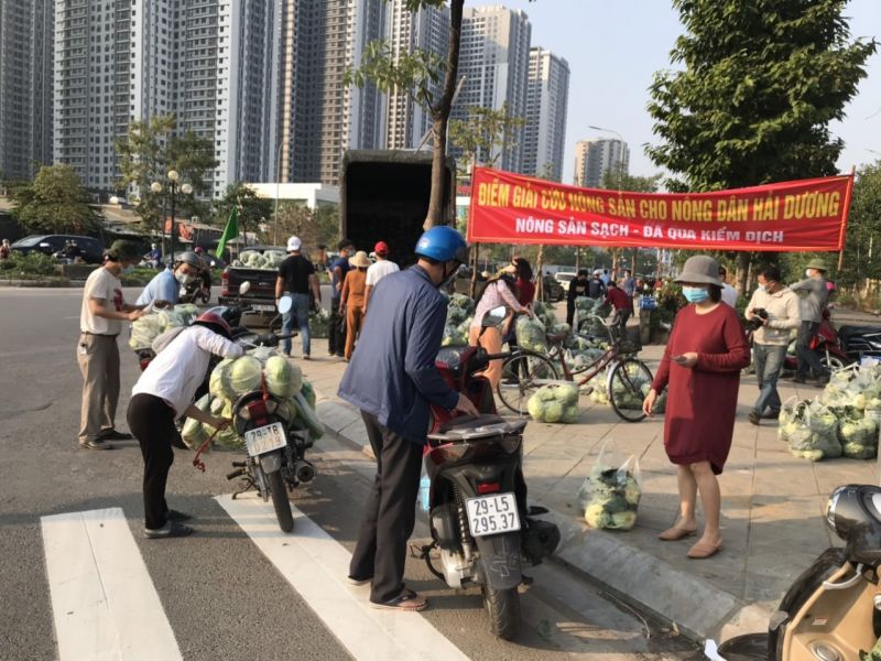 Hơn 1 tiếng nhóm tình nguyện bán 10 tấn rau hỗ trợ bà con ở Hải Dương - ảnh 2