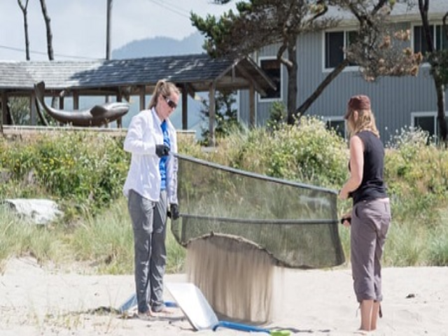 Lưới tĩnh điện có thể thu được hạt nhựa nhỏ tới 50 micron.