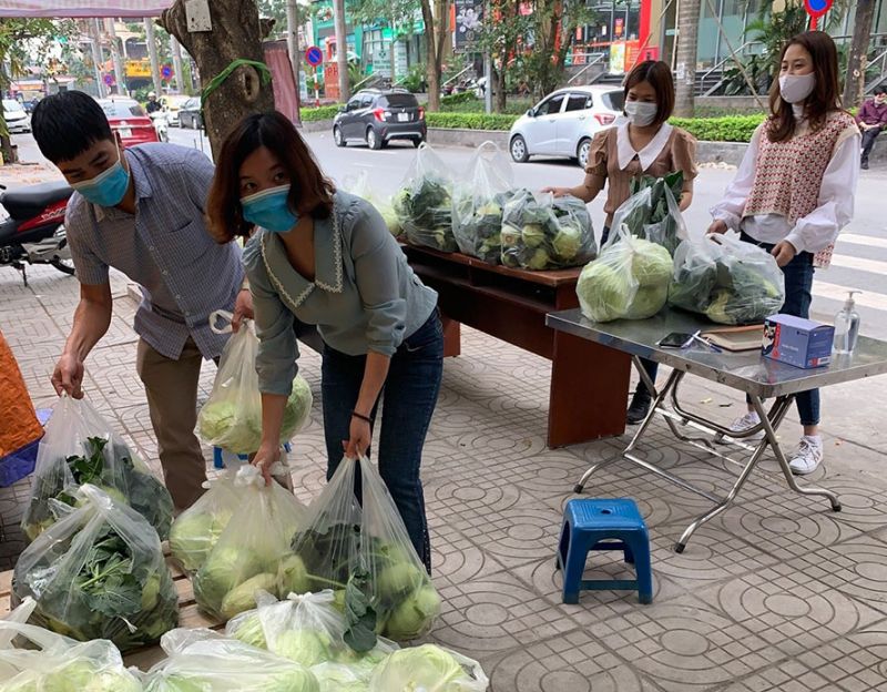 Điểm b&aacute;n rau củ hỗ trợ n&ocirc;ng d&acirc;n Hải Dương v&agrave; M&ecirc; Linh