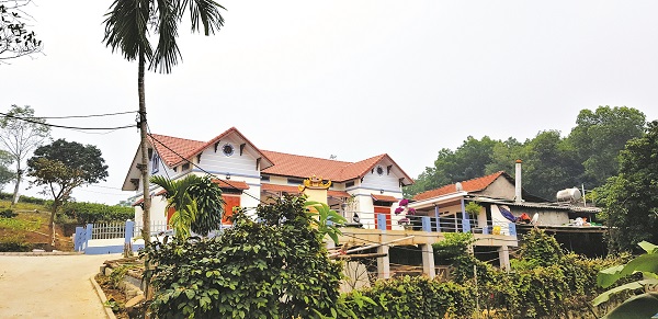 Vợ chồng anh Đinh Mạnh Cường kh&aacute; giả từ trồng ch&egrave;