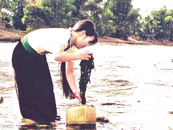 Thiếu nữ đi h&aacute;i r&ecirc;u