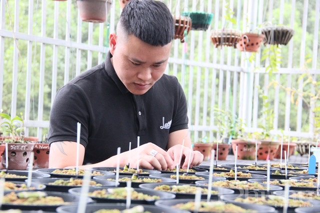 Với Đỗ Đức Việt, trồng lan kh&ocirc;ng chỉ l&agrave;m kinh tế m&agrave; c&ograve;n để thoả sự đam m&ecirc; với lo&agrave;i c&acirc;y n&agrave;y.
