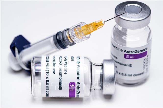 Hội nghị Thượng đỉnh EU tập trung vào vấn đề vaccine - ảnh 1