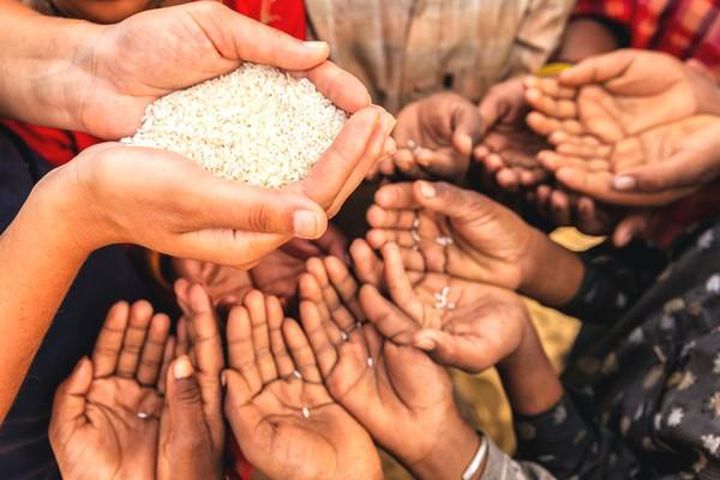 FAO và WFP cảnh báo, nạn đói cấp tính có thể tăng cao ở hơn 20 quốc gia.