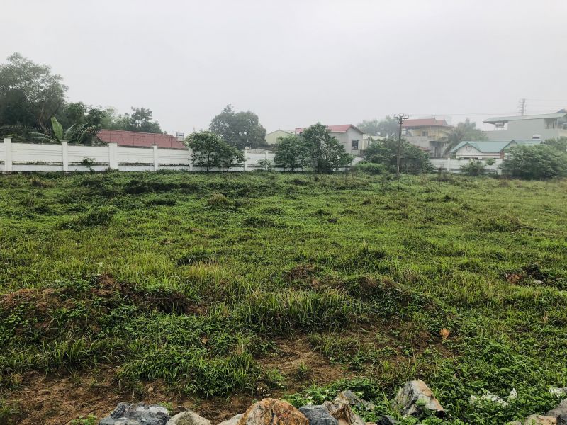 Hàng chục dự án chậm triển khai để cỏ mọc hoang Hàng chục dự án chậm triển khai để cỏ mọc hoang