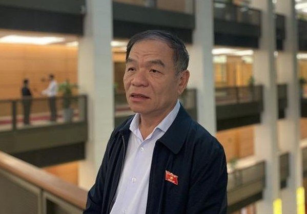 Đại biểu Lê Thanh Vân (đoàn Cà Mau)