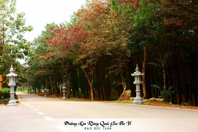 Rừng quốc gia Ba Vì là nơi được nhiều người tìm đến