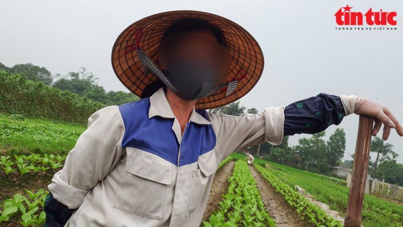 B&agrave; N.Th.Ch, x&atilde; Ti&ecirc;n Dương, huyện Đ&ocirc;ng Anh, H&agrave; Nội nhiệt t&igrave;nh tư vấn về gi&aacute; bất động sản tại địa phương.