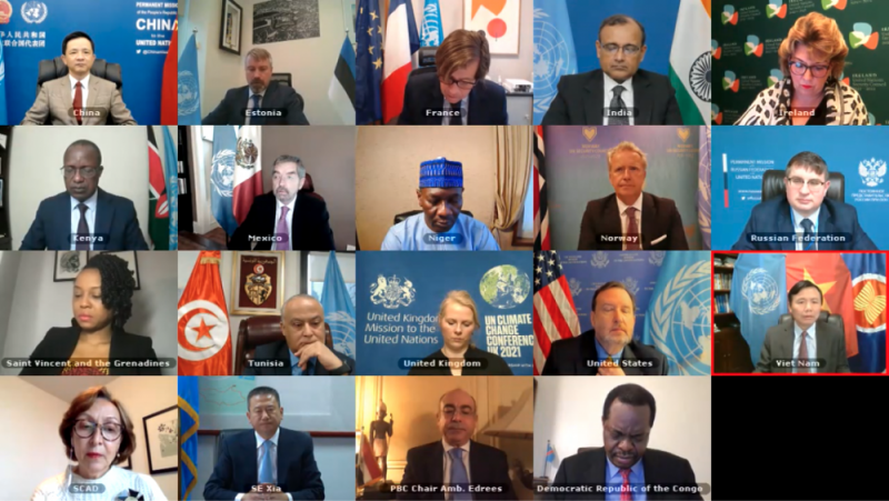 HĐBA LHQ tiến hành họp trực tuyến về tình hình khu vực Các hồ lớn tại châu Phi.