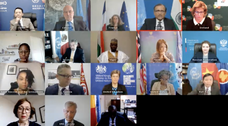 HĐBA LHQ họp trực tuyến về tình hình Mali. HĐBA LHQ họp trực tuyến về tình hình Mali.