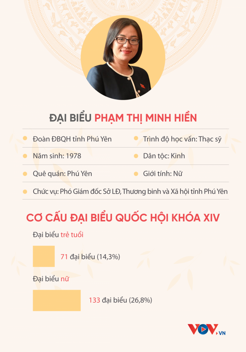 ĐBQH Phạm Thị Minh Hiền: Nghị trường không phải là nơi dành cho người mềm yếu - ảnh 1