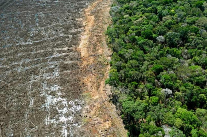 Chỉ 3% hệ sinh thái trên Trái đất còn nguyên vẹn - ảnh 1
