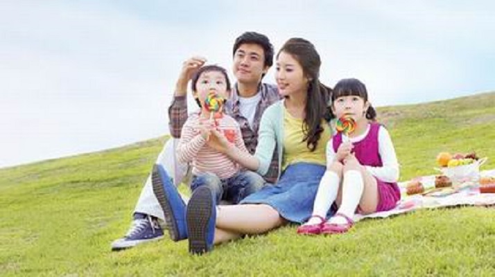 Xây dựng Chiến lược phát triển gia đình Việt Nam đến năm 2030 - ảnh 1