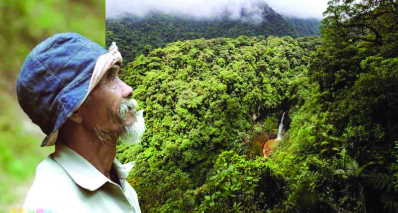 Ông Sadiman bên cánh rừng của mình.