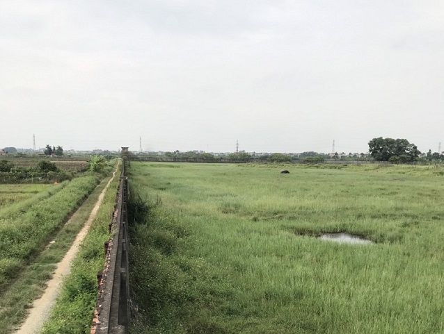 Khu đất thuộc dự án đã để hoang hóa 13 năm nay