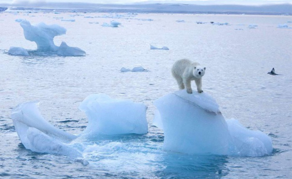 Thế giới phải chạy đua với thời gian để giải quyết vấn đề khí hậu.