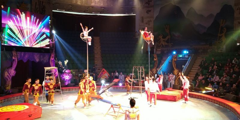 Các loại hình biểu diễn như thăng bằng, tung hứng, ảo thuật, xiếc thú... được đưa vào nội dung cuộc thi. Ảnh minh họa