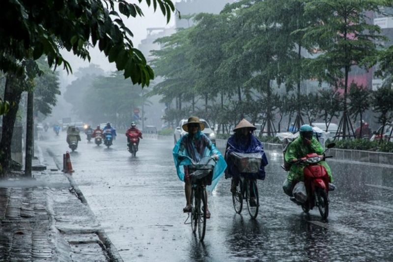 Ảnh minh họa Ảnh minh họa