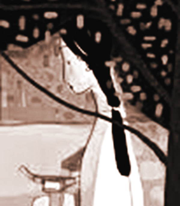 Minh họa sưu tầm