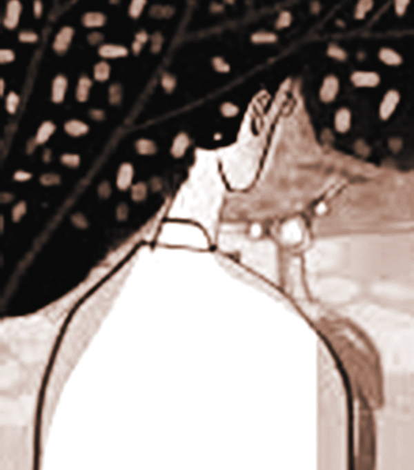 Minh họa sưu tầm