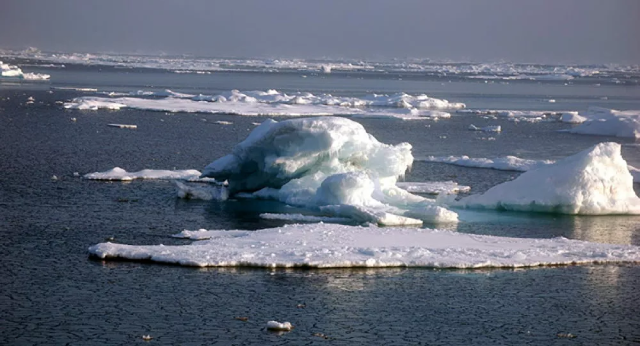 Nguyên nhân là do biến đổi khí hậu gây ra bởi việc đốt nhiên liệu hóa thạch.