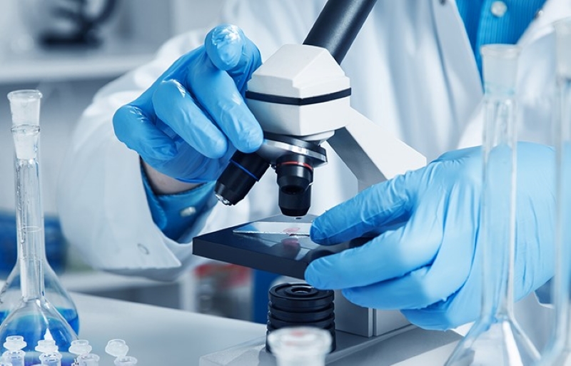 Ảnh minh họa. Nguồn: Int