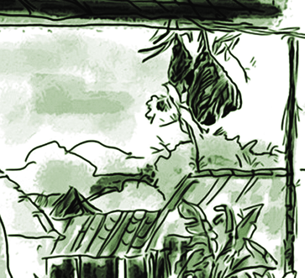 Minh họa sưu tầm